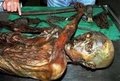 <p>Araştırma kapsamında Ötzi'nin midesi DNA analizine tabi tutuldu. Analiz, 5 bin 250 yaşındaki bakteriye ait verilere de ulaşılmasını sağladı. Hannover Tıp Fakültesi'nden Sebastian Suerbaum, \