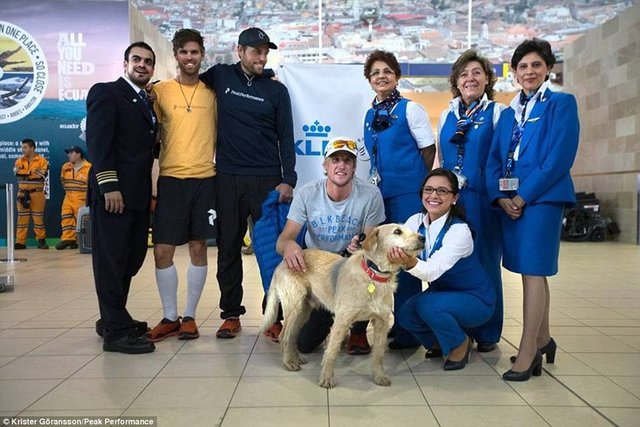 Yolculuk ettikleri havayolu çalışanları da hikayesini öğrendikleri bu vefakar köpekle hatıra fotoğrafı çektirmeyi ihmal etmedi.