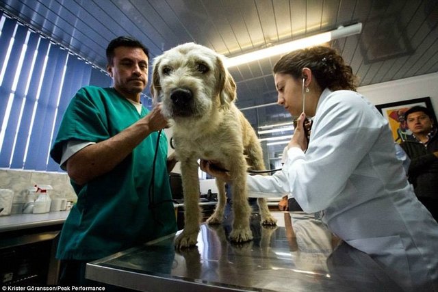 Ekipten Mikael Lindnord, Arthur için şunları söyledi: