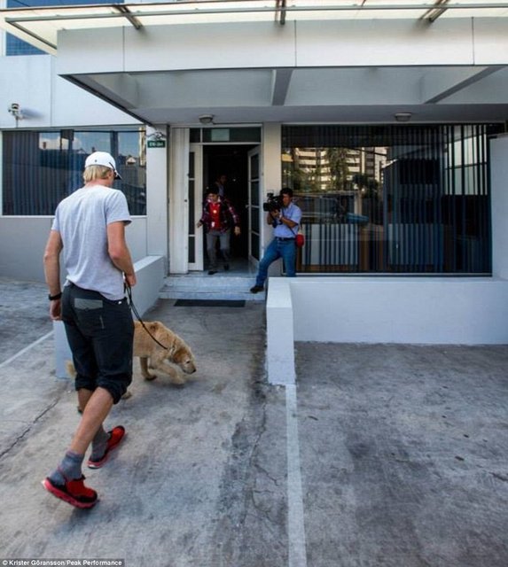 "Çok yorucu ve uzun süren yarış sonunda İsveç'e getirmeye karar verdim ama yasalar müsait değildi. Ekvator sağlık bakanının yardımı ile uçağa bineceğim son dakikada belgeleri ve aşısı tamamlandı."