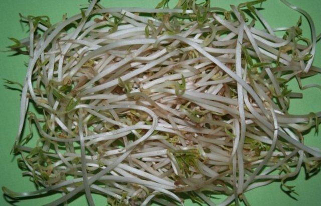 Vücudun kendi hormonları kadar etkili. Cildi dolduruyor ve gerginliğini sağlıyor.