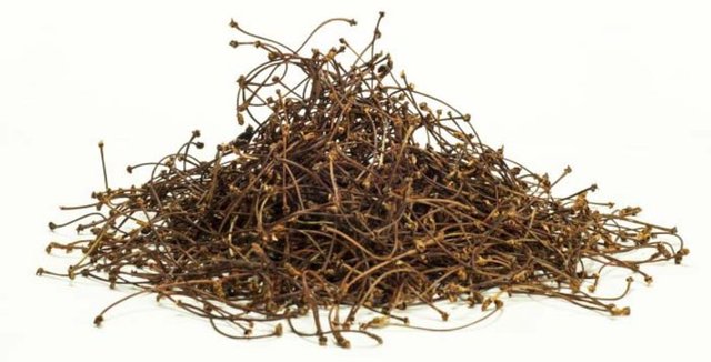 İdrar artırıcı özelliğinin yanı sıra zengin potasyum içeriği nedeniyle vücutta idrar ile atılan potasyum dengesinin bozulmasını önlemektedir.