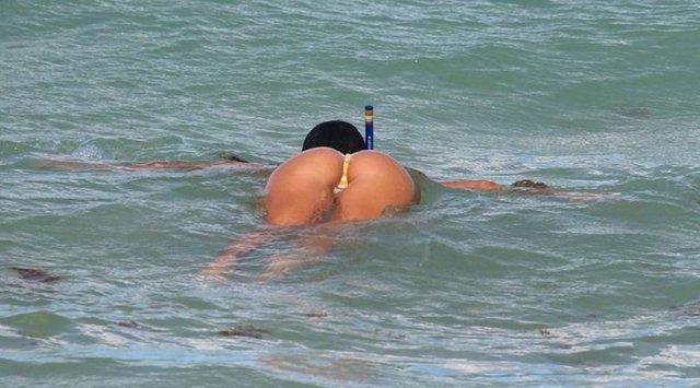 CLAUDIA ROMANI