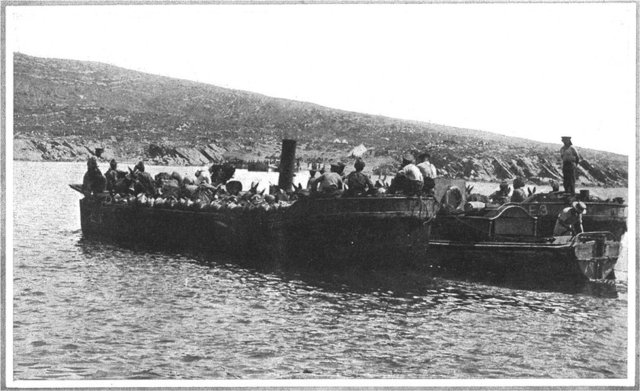 5 Ekim 1920 tarihli bir başka pusulada ise asteğmen Frank Coffee'nin cismani terekesinin, nakledilmeyip arkadaşlarının yanındaki yerinde kalacağını belirtiliyordu.