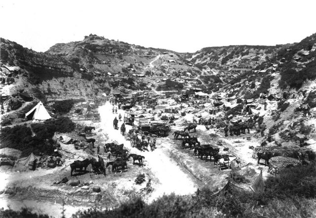 (Bericht über den Befund der Gräber der französischen und englischen Gefallenen auf Gallipoli, Konstantinopel, Kaiserlicher Botschaftsprediger und Marinefeldgeistlicher; folyo 23-24ön)
