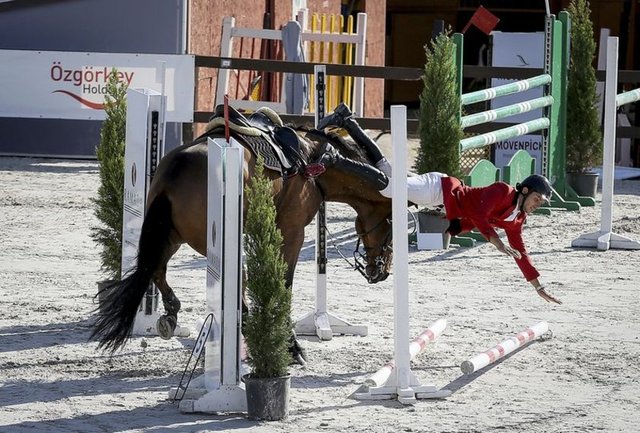 Biniclikte İzmir'de ilk kez düzenlenen 49. Atatürk Kupası'na İstanbul Atlı Spor Kulübü adına katılan Oğuz Dalmış, atının engeli geçememesi nedeniyle düştü. 18.10.2014