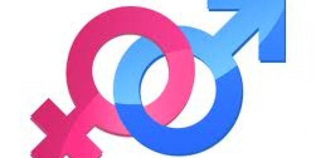 20.Yapılan diğer bir araştırmaya göre 5 ülkeden gelen yanıtlara göre, erkeklerin vajinaya penislerinin dokunmasından boşaldıkları zamana kadar geçen süre 30 saniye ile 44 dakika arasında.