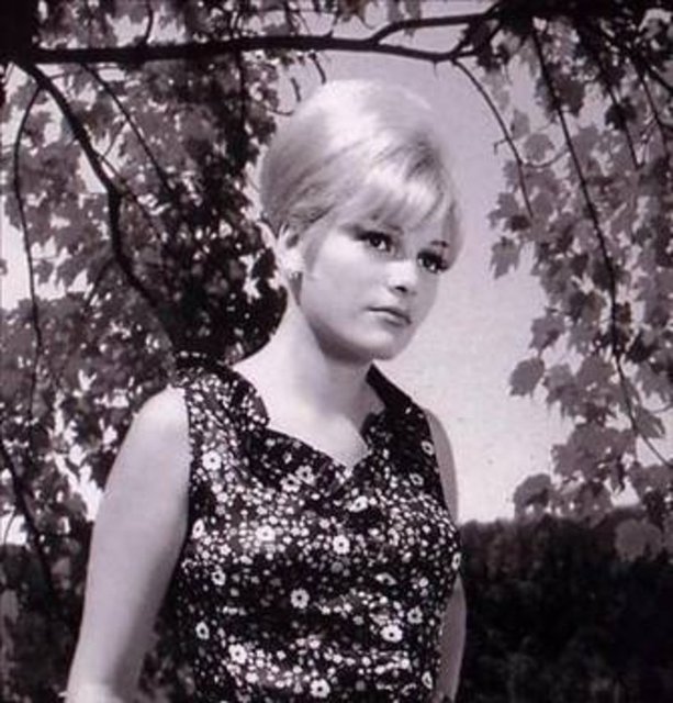 1963 yılında bir aile dostlarının teşvikiyle Ses dergisinin, düzenlediği yarışmaya katıldı. Ediz Hun'un erkekler dalında birinci, Hülya Koçyiğit'in bayanlar dalında ikinci olduğu yarışmada, birinci seçiln Ajda Pekkan'ın profesyone kariyeri böylece başladı