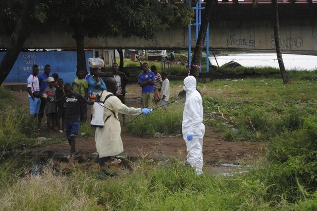 Bir sağlık çalışanı, Ebola virüsü bulaşan bir cesedi taşıdıktan sonra klor dezenfektanı sıkılmış koruyucu kıyafetiyle görülüyor. (Liberya, 13 Ekim 2014, REUTERS/James Giahyue)