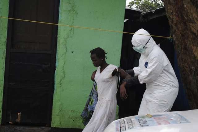 Monrovia'da bir sağlık çalışanı, Ebola'ya yakalandığından şüphelenilen bir kadını ambulansa taşıyor. (Liberya, 15 Eylül 2014, REUTERS/James Giahyue)