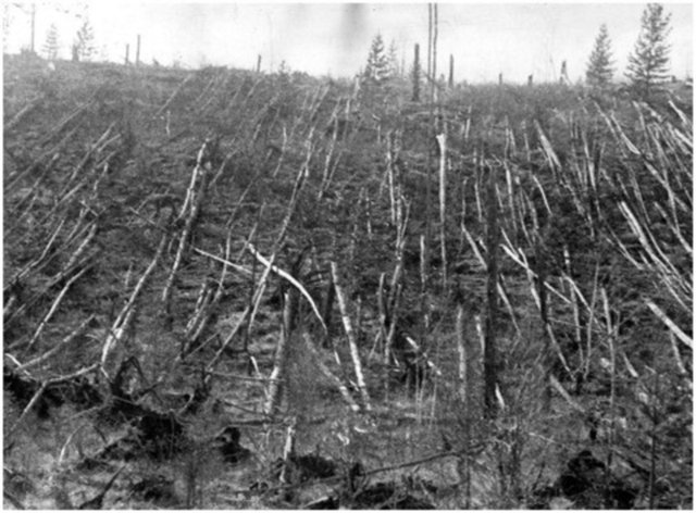 Sibirya'daki Tunguska Vadisi üzerinde müthiş bir patlamayla parçalanan asteroid, kilometrelerce çapta araziyi yakarak dümdüz etmişti.