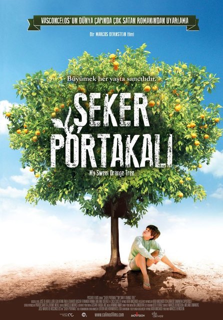 32-Şeker Portakalı (Meu Pé de Laranja Lima) (2012): José Mauro de Vasconcelos'un romanı, Brezilya'nın geçmişinde askeri rejimin yarattığı çaresizliğe aşağıdan bakıyor. Yoksul bir çocuğun hayallerini büyülü gerçekçilikle ilişkili bir üslupla canlandırıyor.