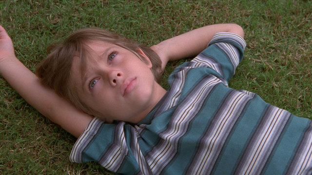 2. Boyhood (Çocukluk)