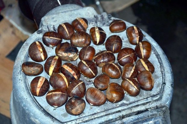 Özellikle soğuk kış akşamlarının vazgeçilmez eğlenceli atıştırmalığı olan bu tohumlar, nişastalı yapısından dolayı yemeklerde lezzet verici ve kıvam artırıcı olarak kullanılıyor.