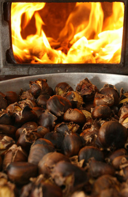 Mangalda pişirilecekse serbest radikal oluşumunu engellemek için ateşe yakın olmamasına özen gösterilmelidir.