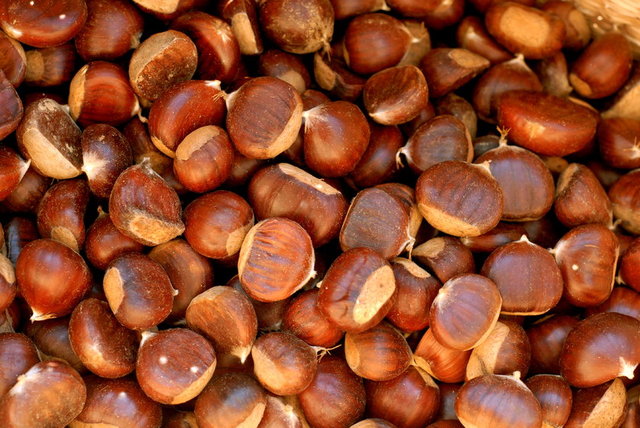 Çölyak hastalığına kestane:  Kestane aynı zamanda gluten içeriği olmayan bir yemiş olduğundan, gluten içermeyen besinlerin hazırlanmasında da kullanılır.