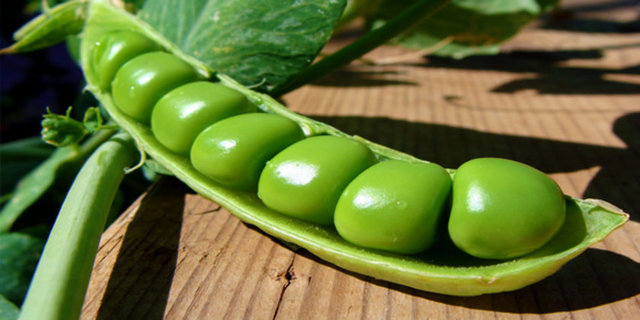 Eğer ağrılarınızla birlikte ishal sorunu da yaşarsanız bol su tüketmelisiniz.