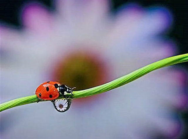 İlk farkındalığa doğada olan bitenlerden başlamak, okumak, sormak, anlamak kendimizle ilgili içsel soruların ve sorunların yanıtlanması için en güzel alıştırma.