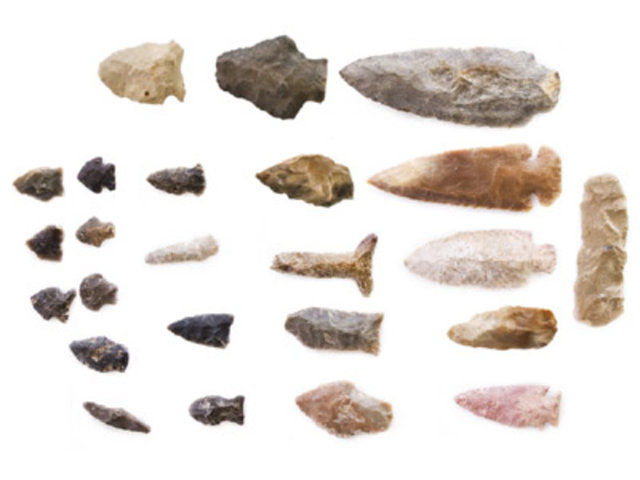 Sağlıklı yemek ve kendisini korumak için gereken her türlü buluşa önayak olması açısından