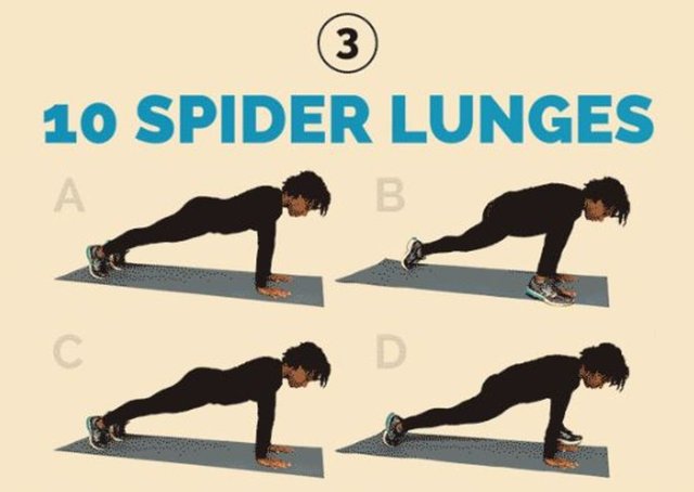 3-10 Örümcek Hamlesi