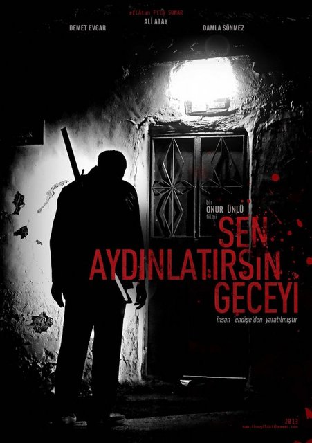 7-Sen Aydınlatırsın Geceyi (2013)