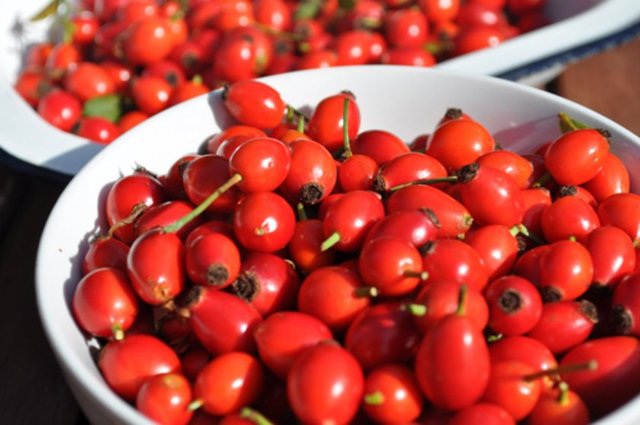 Kuşburnu meyvesi  (C vitamini içerir.)