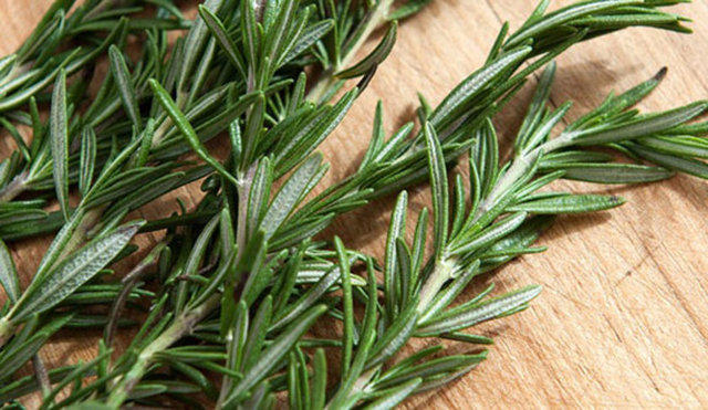 Biberiye  (Uykusuzluk ve yorgunluğa bağlı sindirim sorunlarını rahatlatmak için kullanılır. Sakinleştirici özelliği vardır.)