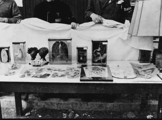 Yahudilerin vücut parçaları