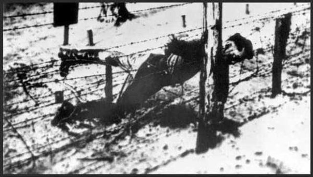 Savaşın sonlarına doğru, Almanların, Stalin'in oğlu ile Stalingrad'da esir düşen bir Alman mareşali takas etmek istedikleri fakat Stalin'in bir ere karşılık bir mareşali vermeyeceğini söylediği şeklinde dedikodular yayıldı. - Yakov Dzhugashvili'ni kamp güvenliği tarafından bu şekilde vurularak öldürüldü.