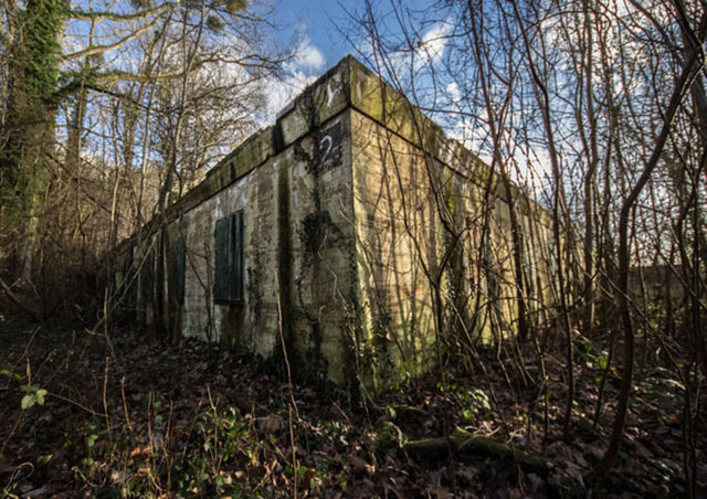 SON GÜNLERİNİ BURADA GEÇİRMİŞ! - Fransız fotoğrafçı dünyanın en gaddar savaş suçlularından Adolf Hitler'in son sığınağını fotoğrafladı. Ormanın içinde saklı Hitler'e ait bu sığınak 62 yıl sonra bulundu. Dönemin savaş koşullarına göre inşa edilen bu sığınakta Hitler, burada İngiltere'ye saldırı planlarını düzenlemiş.