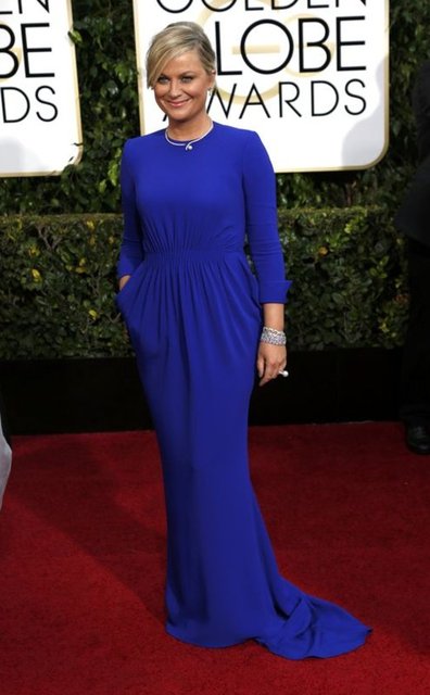 AMY POEHLER