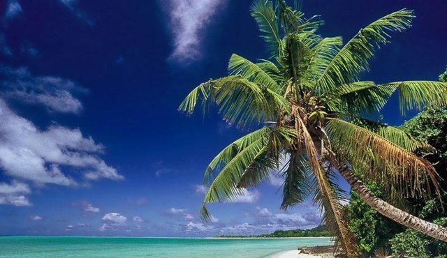 Karasal Alan km² Wallis ve Futuna (Fransa) 142