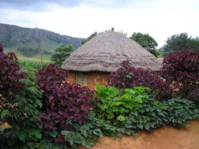 Karasal Alan km² Svaziland 17.204