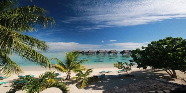 Karasal Alan km² Fransız Polinezyası (Fransa) 3.827