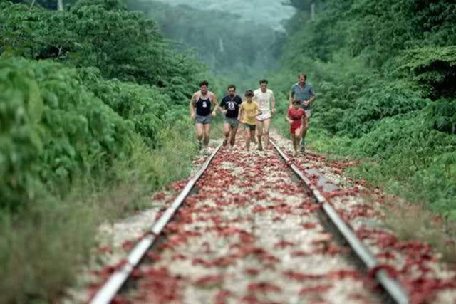 Karasal Alan km² Christmas Adası (Avustralya) 135