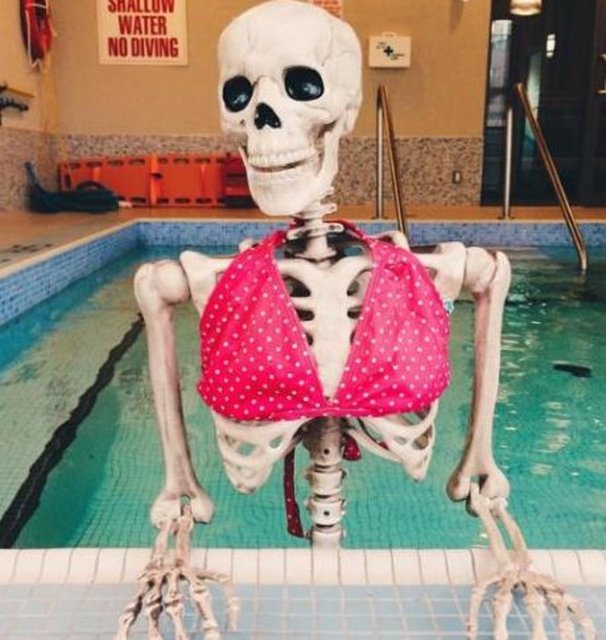 Skellie ise Instagram'ın en yeni fenomeni... Plastik bir iskelet olan Skellie,bu sosyal paylaşım sitesinin ilk cansız ünlüsü.