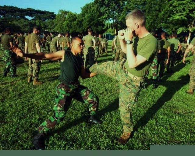 19. Akademi Angkatan Bersenjata Republic Indonesia (Endonezya)
