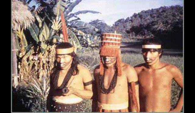 Korunmasındaki zorluklar; okullarda resmi olarak öğretilmemesi. Yayılmasındaki sebepse tek bir güçlü topluluğun dili yaşatma çabası olarak düşünülebilir.