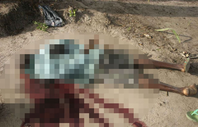 Şubat 2012'de, Usame Bin Ladin'in ABD tarafından Pakistan'da düzenlenen operasyonla öldürülmesinin ardından örgütün liderlik görevini üstlenen Eymen El Zevahiri, Şebab'ın El Kaide'ye katıldığını açıkladı.