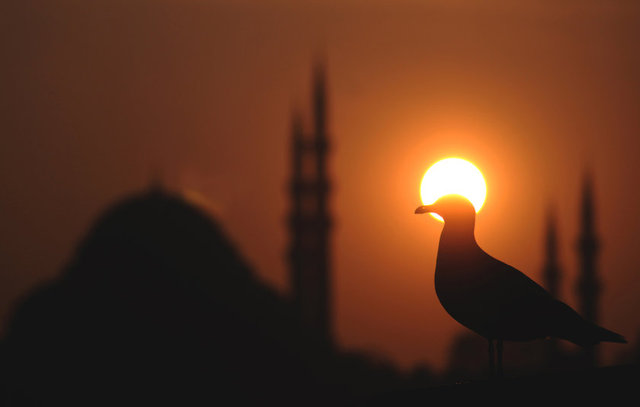 İstanbul'da toplam 8 noktada ölümlü ve yaralamalı kaza noktası zirve yapmış durumda.