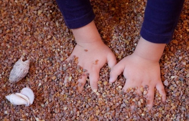 Kehribara yapışan fosilleşmiş böcekler, yabani bitkilerin fazla oluşu, diğer taşlarda görülmeyen önemli özelliklerdendir ve içerisinde böcek yada bitki fosili olanlar daha değerli kabul edilir. -
