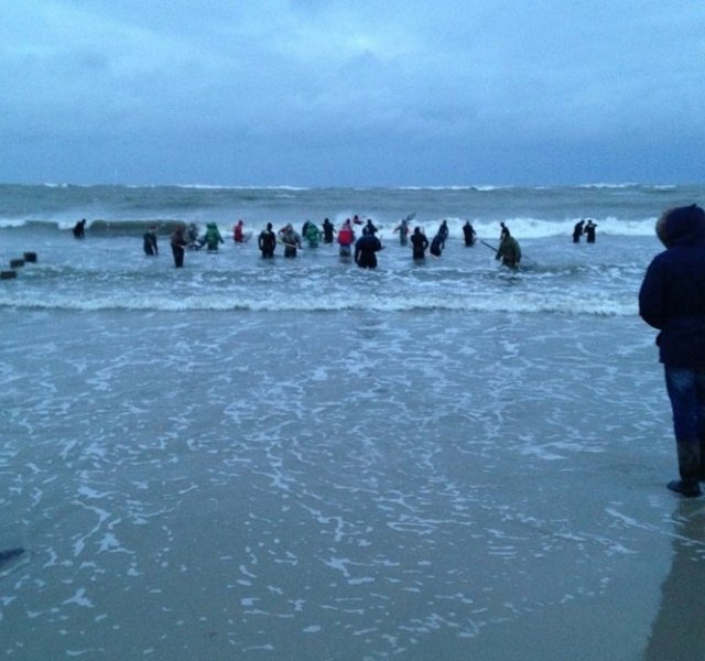 Aradıkları şeyin kilogram fiyatı ise 10 bin liranın üzerinde.