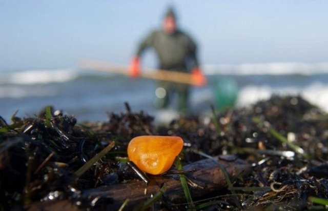 Eğer yeterince bulabilirlerse buz gibi sulardan bir zengin olarak çıkmaları işten bile değil.