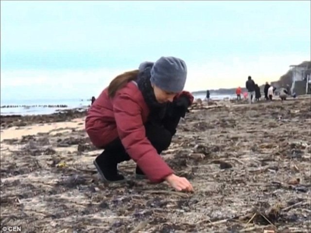 Ve aradıkları şeyin dünyada en değerli olduğu kaynak işte bu girdikleri buz gibi Kaliningrad suları.