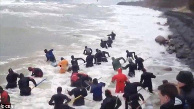 Bu insanlar zengin olmanın peşinde.