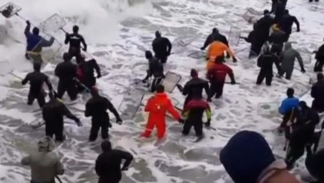 Onlar ne balık tutmak ne denize girmek için buradalar.