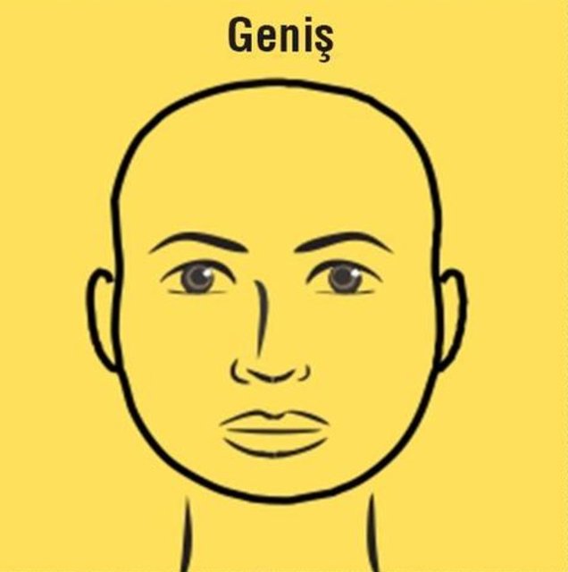 Geniş Alın: Aklın simgesidir. Zeki insanlardır. Kurnaz olabilirler.