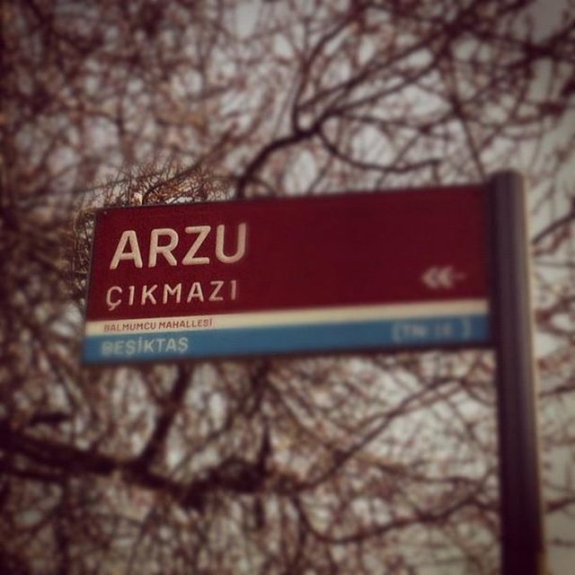 Arzu Çıkmazı - Beşiktaş