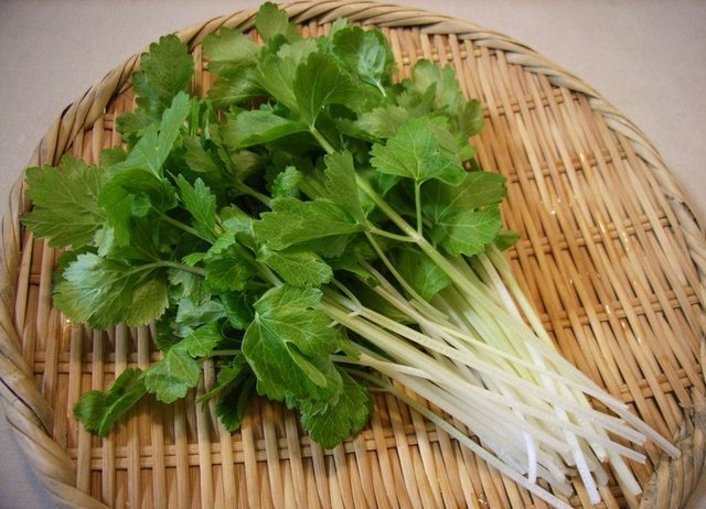 Kerevizin kökü ve sapının da çok sağlıklı olduğunu söyleyen beslenme uzmanı İpek Ağaca, kerevizin insan sağlığındaki önemini anlattı.