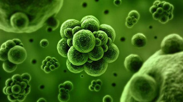 Ağızda, burun kadar koruma mekanizması olmadığı için dışarıdan gelen mikroplar boğazda yerleşiyor.